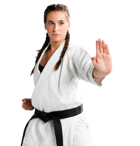 adult karate